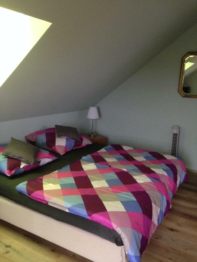 Loreley Bed And Breakfast Bornich Exterior foto